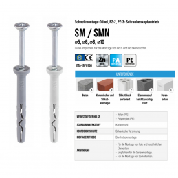 50 Stück Ø10 x 220mm Schnellmontagedübel SM mit PZ-Antrieb