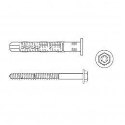 Ø10 x 160mm Sechskantkopfscharube mit Nylondübel und TX-Antrieb.
