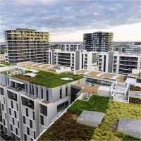 PŁASKI I ZIELONY DACH, TARAS